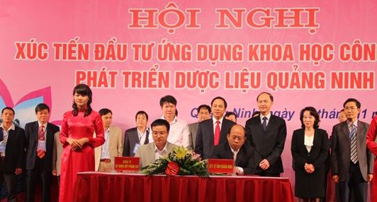 hội nghị