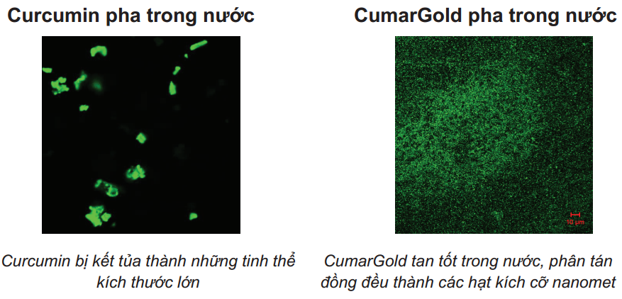 so sánh khả năng tan trong nước của nano curcumin so với curcumin thường