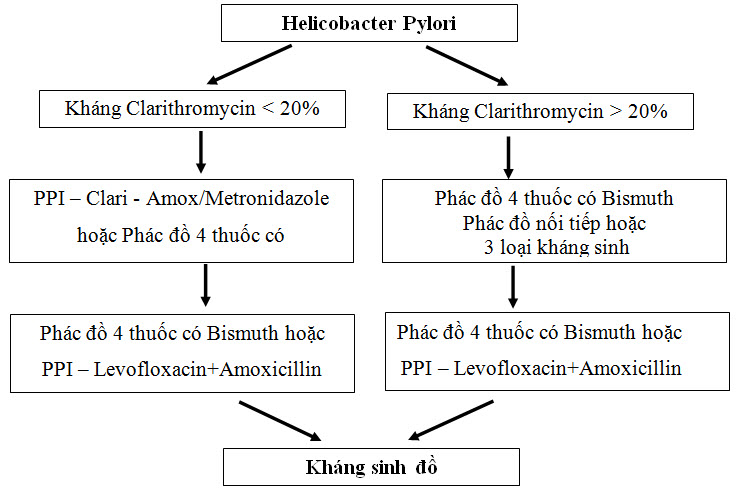 Phác đồ điều trị bệnh viêm loét dạ dày do nhiễm khuẩn Hp.