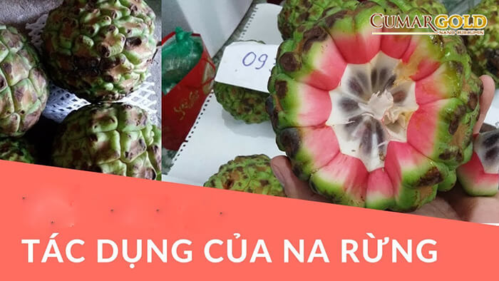 Tác dụng của quả na đối với sức khoẻ và dạ dày