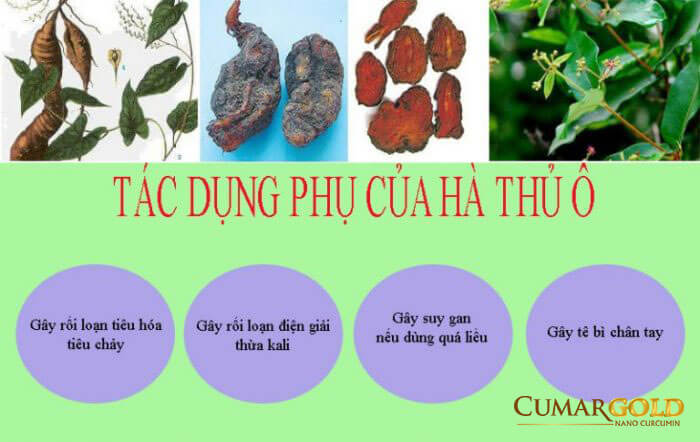 Tại sao đau dạ dày không nên uống hà thủ ô