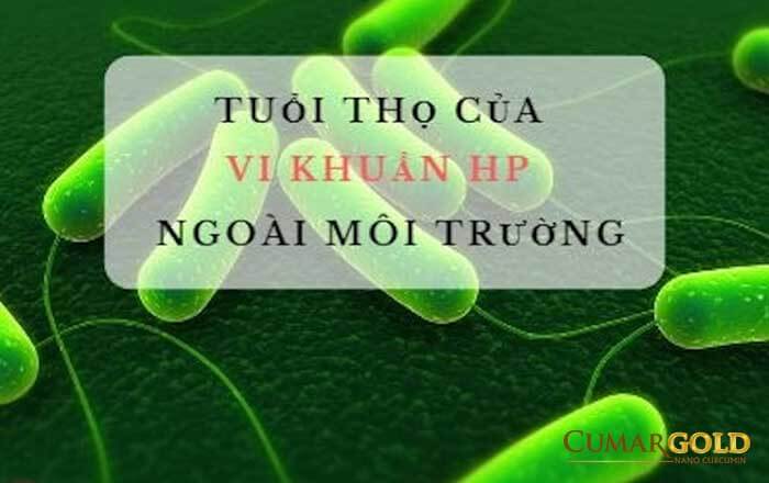 Khuẩn hp sôngs đươc bao lẩu ngoài môi trường