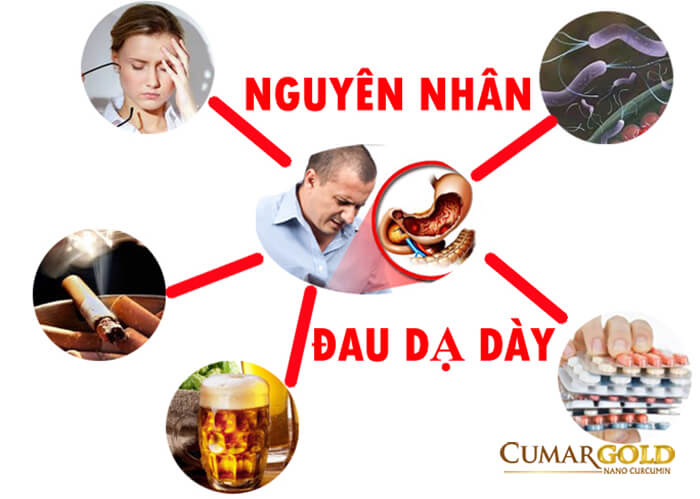 Nguyên nhân bị đau dạ dày