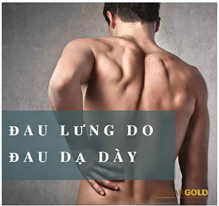 Phân biệt đau lưng do đau dạ dày với đau lưng do bệnh khác