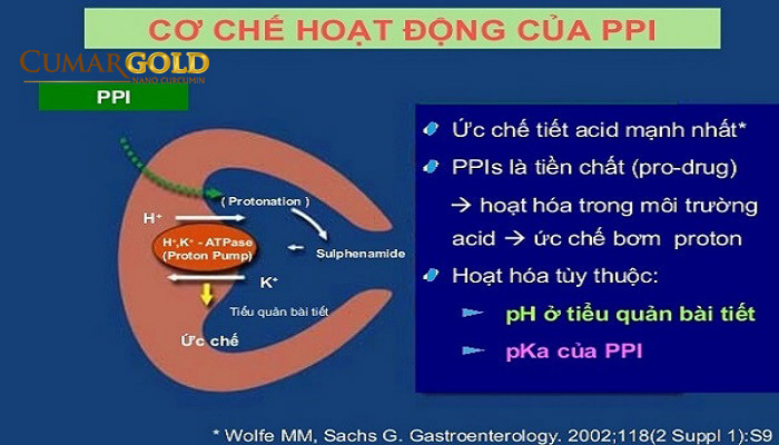 Cơ chế hoạt động của PPI