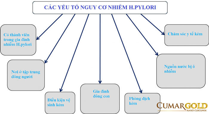 Những nguyên nhân có vi khuẩn HP